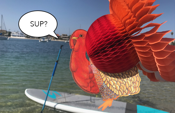Tom the Turkey Stand Up Paddling